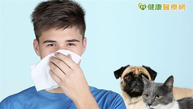 過敏性鼻炎擾人　中醫針灸怎麼治療？