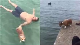 疑演溺水測忠心！柯基奔下海救主人　網友批：這樣好玩嗎？
圖翻攝自汪汪仙貝臉書
https://www.facebook.com/dogonut/videos/1668996369840405/