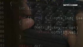 駭客,電腦,網路