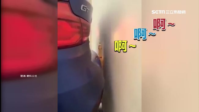 慘叫雞變「倒車雷達」　便宜又好用！