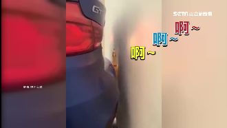 慘叫雞變「倒車雷達」　便宜又好用！