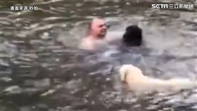 拉不拉多犬救主人