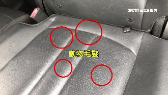 出國停車愛車走樣！赫見動物毛髮掌印