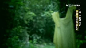 玉山,抓交替,黃色雨衣,李臺軍,靈異,魔神仔