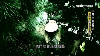 排雲山莊遇黃衣小飛俠！他曝親身經歷