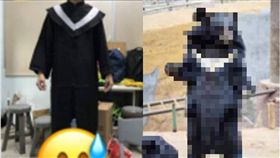 學士服,畢業,大學生,兒子,爸爸,台灣黑熊,DCARD　圖／翻攝自DCARD