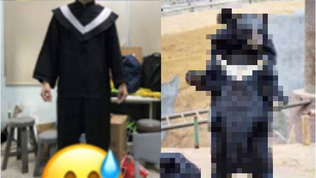 他開心傳學士服照　爸爸神回讓他無言