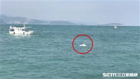 基隆堤防,浪捲小貨車