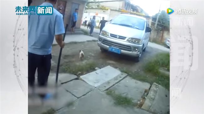 警獲報有惡犬　一看傻眼「小狗怕啥」