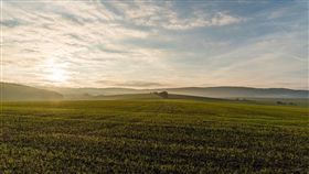 草地,秋天,公園,早晨,天氣 圖／翻攝自Pixabay