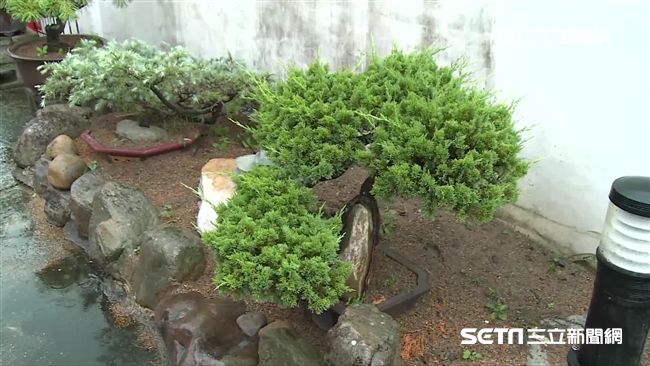 罵鄰居「像畜生一樣」　女獲判無罪