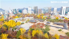 韓國楓葉,德壽宮。（圖／KKday提供）