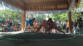 和泰大金捐贈  修復大溪相撲道場