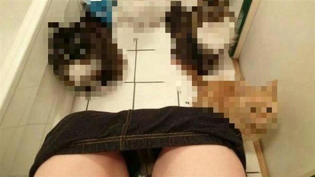 上廁所遭監視　他便秘原因笑翻網友