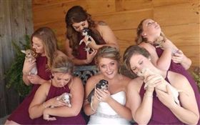 TheDodo,婚禮,Samantha,AHeinz57,新娘,捧花,小狗,毛小孩,颶風,哈維　圖／翻攝自lagranepoca https://goo.gl/Q5uEoc