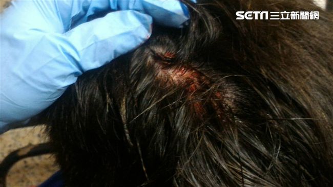 嫌太吵花瓶砸人　男辯「一時手滑」
