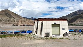 三生三世十里菊花 圖/文供稿：爆肝護士的玩樂記事