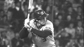 效力於養樂多的希爾頓（圖／翻攝自推特）