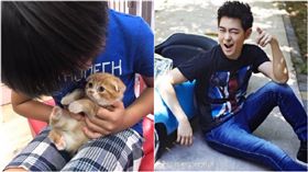 ▲林志穎育有三名兒子。（合成圖／翻攝林志穎微博）