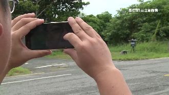 東海岸最紅測速器　遊客打卡比取締多