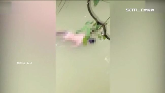 避厄不避鱷！印尼巫師救人反溺斃