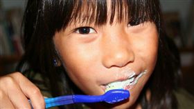 ▲專家說，刷牙是趕走口腔細菌最好的方式。（圖／Flikr　CC授權／作者Steven Depolo／http://bit.ly/1P7BLFU）