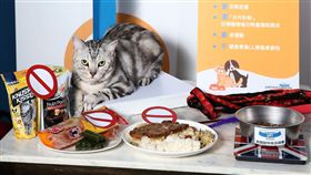 驚！台灣6成寵物需減肥　近3成貓中高度風險　美國寵物食品協會提供
