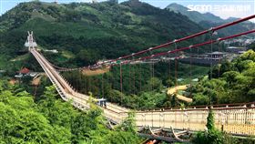 嘉義梅山鄉太平雲梯,太平雲梯,吊橋。（圖／記者馮珮汶攝）