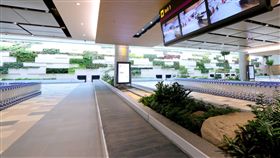 機場 行李 輸送帶
https://www.facebook.com/changiairport/photos/a.10155196205188598.1073741953.113770598597/10155196229783598/?type=3&theater