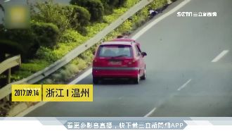 驚！汽車拋錨　女下車查看遭撞飛草叢
