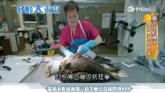 全球唯一動物CSI！打擊動物走私