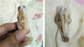  搬入新宿舍在枕頭中發現降頭人偶（圖／翻攝自微博）