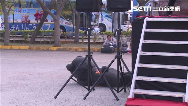 上工2天…熊讚「面部朝下」跌落舞台