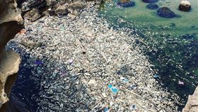 新北,萬里,野柳風景區（圖／網友提供）