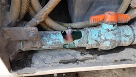 泰國,長途巴士,排泄管,死胎,男嬰（圖／翻攝自ThaiMythbuster推特）