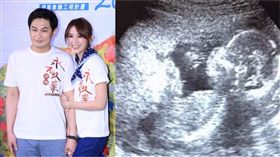 馮媛甄（圖／翻攝自林帛亨臉書）