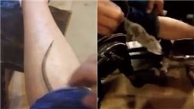 老鼠,褲管,鐵鉗,夾死,掐死,火鍋店,尾巴,大陸,重慶　圖／翻攝自梨視頻　