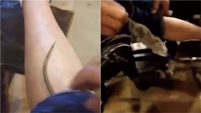 傻眼！陸男吃火鍋竟遭「老鼠」鑽褲襠