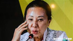 民進黨全代會，中常委張花冠 圖／記者林敬旻攝