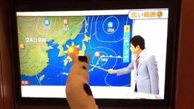 氣象,主播,指示棒,貓咪,逗貓。（圖／翻攝自推特@nekolabo1）