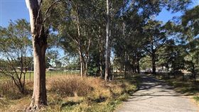 澳洲12歲女童稱遭5名青少年集體性侵。（圖／翻攝Daily Mail）