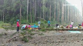 F樹倒砸露營1200