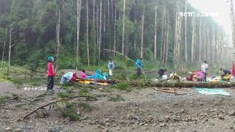 水漾森林枯木倒塌　砸中帳篷傷及遊客