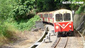 中秋節,台鐵,疏運。