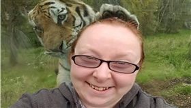 老虎,東北虎,自拍,英國,Cairngorms,Donna Martin,摸頭　圖／翻攝自臉書