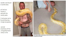 英國,男子,蛇,蟒蛇（圖／翻攝自每日郵報）
http://www.dailymail.co.uk/news/article-4916004/Python-near-dead-owner-investigation.html