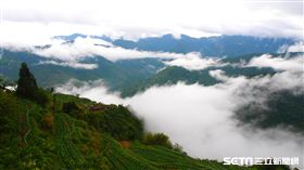 國旅卡友節記者會。（圖／雄獅旅遊提供）