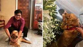 菲律賓新生卡斯提歐（Horacio Castillo）死亡，愛犬Lega在棺木望著主人（圖／翻攝自Gerardo M. Castillo 臉書）