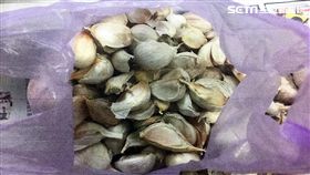 曾姓婦人竊取1包300元的蒜頭遭逮（翻攝畫面）