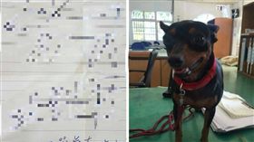 寵物,狗,愛犬,失蹤,走失,黑色迷你杜賓犬,屏東,李尚勳,手繪圖
（圖／翻攝畫面）